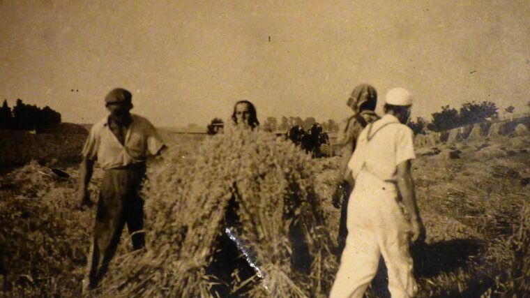 Zemědělství v proměnách času