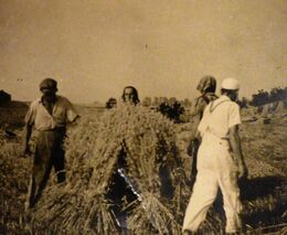 Zemědělství v proměnách času