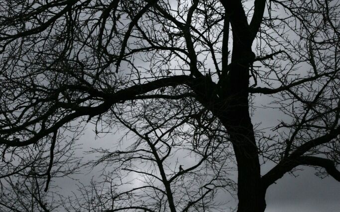 Zemřel zakládající člen Svazu vlastníků půdy Jaromír Morávek