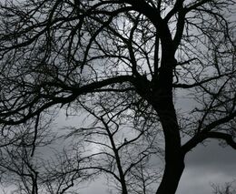 Zemřel zakládající člen Svazu vlastníků půdy Jaromír Morávek