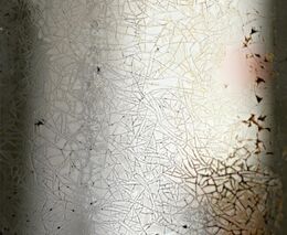 Nosit hrdě šátek. Jak se selka stala úspěšnou političkou