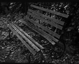 Nejen Kantorek. Po roce 1968 odešlo do exilu na čtvrt milionu nadějných lidí