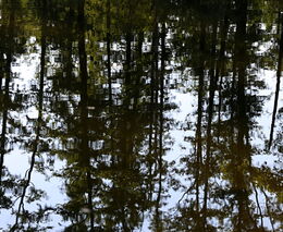 Aktuální vyjádření ministra životního prostředí Richarda Brabce k Bečvě