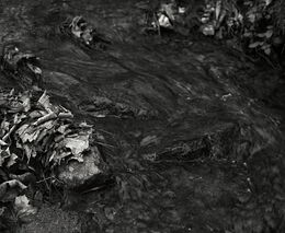 Semelová plánuje znárodňování a rudou revoluci. V Praze je lídrem KSČM