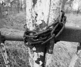 Podrobit si svobodného člověka, to chce snad skoro každý režim