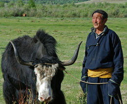 Za nomády do mongolské stepi