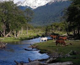 Poznejte s námi zemědělství Chile