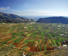 Pojeďte poznávat agroturistiku v jižním Španělsku!
