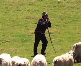 Rumunsko - velké podniky i tradiční hospodaření