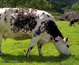 Zápisky z agrovýletu do východní Francie