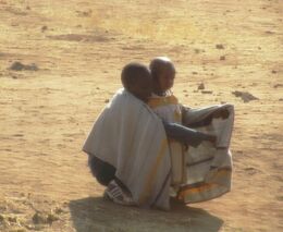 OSN: Východní Africe hrozí druhá vlna náletu kobylek