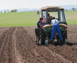 V Česku skokově přibyly tisíce zemědělců. Jejich řady se rozrostly o dotované „manželky“ 