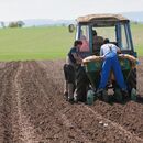 Zaměstnávání cizinců v zemědělství v roce 2025 – 1. část