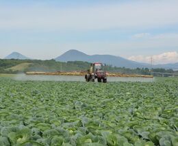 Nekula: Státy s nízkou spotřebou pesticidů nesmějí být v nevýhodě