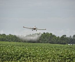 Spotřeba přípravků na ochranu rostlin loni klesla o 1,7 pct