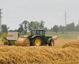 Petr Blažek: Kvůli dotacím se vracíme do socialismu