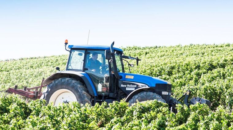 Ruzyňský den výživy rostlin a agrotechniky
