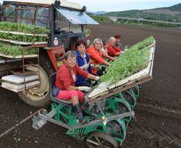 MZe: Za rok zažádaly lesnické a zemědělské firmy o 700 Ukrajinců