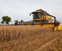 Žně v ČR jsou stále na začátku, sklizeno je 3,6 procenta obilovin