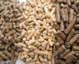 Peletizovaný kompost pomůže hnojit efektivněji