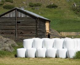 Na zvýšení soběstačnosti dostanou zemědělci a potravináři navíc 4,3 miliardy korun, rozhodla vláda