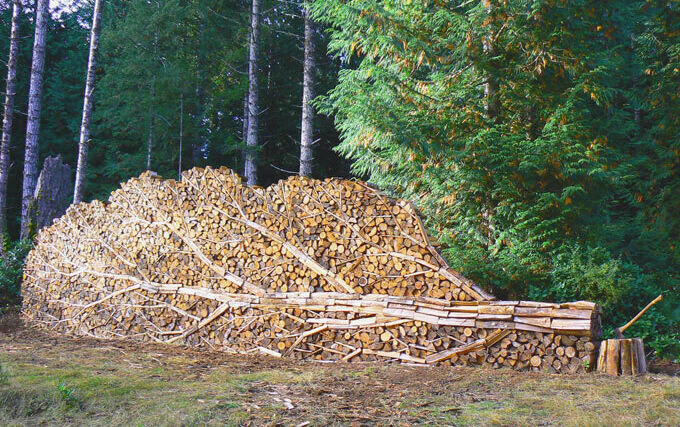 Týden v zemědělství podle Petra Havla - č. 51