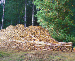 Týden v zemědělství podle Petra Havla - č. 51
