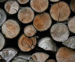 Válka na Ukrajině vytvoří významný tlak na evropský dodavatelský řetězec dřeva