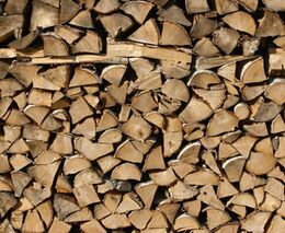 Radek Holomčík: Nikdo nechce Lesům ČR poroučet, je třeba, aby se stát choval jako řádný hospodář