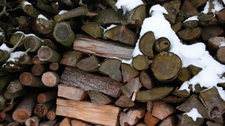 Ministr Toman stáhl z jednání vlády strategii Lesů ČR