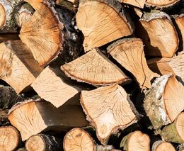 Dřevo jako „materiál budoucnosti“. Vláda navrhuje jeho lepší využití