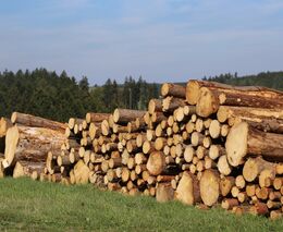 Nařízení o odlesňování je stále zbytečně složité. Musí se nasměrovat tam, kde se skutečně odlesňuje