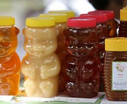 Včelstva v Česku loni hubili roztoči, pravděpodobně zdraží med