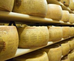 S chovateli jelenovitých na sever Itálie