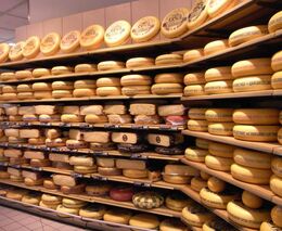 Letošní soutěž Firma roku a Živnostník roku zahájena