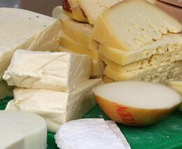 Seminář Zpracování mléka na farmě - 22.4. a 29.4.2022