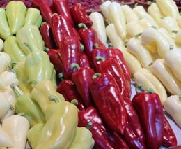 Pokud bychom zrušili DPH u potravin, můžeme ten náš krám zavřít, říká Nekula