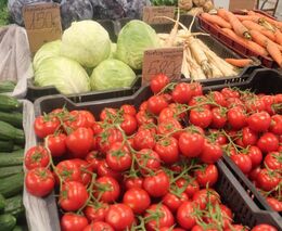 Ministr Nekula: Zajistit spotřebitelům přístup ke zdravým a bezpečným potravinám je pro mě zásadní