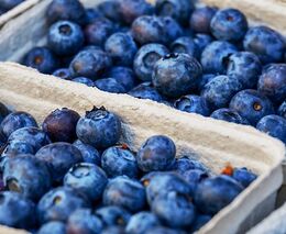 Zapomeňte na goji a acai, i v Česku máme superpotraviny. Víte, které to jsou?