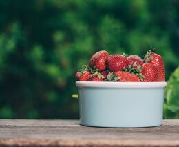 Jihočeský kraj zřídí virtuální trh lokálních potravin pro školy