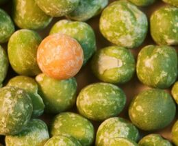 Slavíme 200 let od narození G. J. Mendela