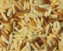 Výrobci krmiv sahají po méně kvalitní rýži. S poptávkou roste i její cena