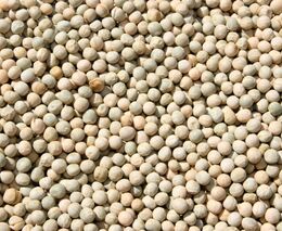 Bezobalové obchody krachují. Od ledna skončila téměř pětina