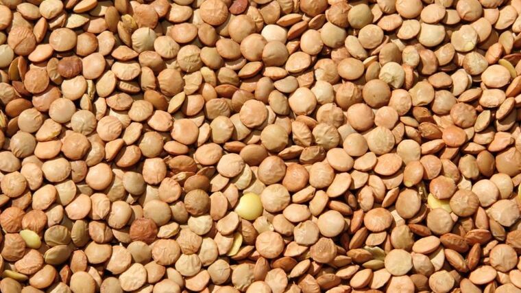 Pozvánka na Den otevřených dveří na Biofarmě Sasov