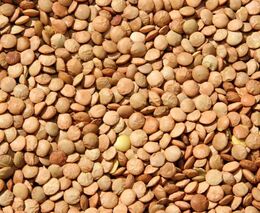 Pozvánka na Den otevřených dveří na Biofarmě Sasov