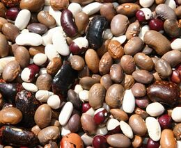 Zavřete oči, odcházíme: krize bezobalů