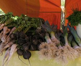 Každá země teď bude potraviny držet pro své lidi, říká zemědělec Jiří Milek