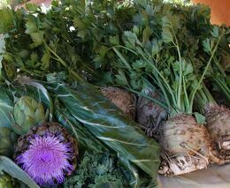 Německé populisty láká český pokus zavést potravinové kvóty. Proti jsou zemědělci i vláda