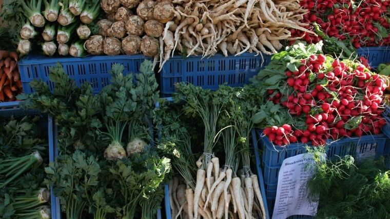Potravin bude dost, uklidňuje ministr Nekula. Zvyšuje dotace a podporu malých farmářů
