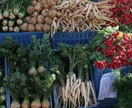 Potravin bude dost, uklidňuje ministr Nekula. Zvyšuje dotace a podporu malých farmářů